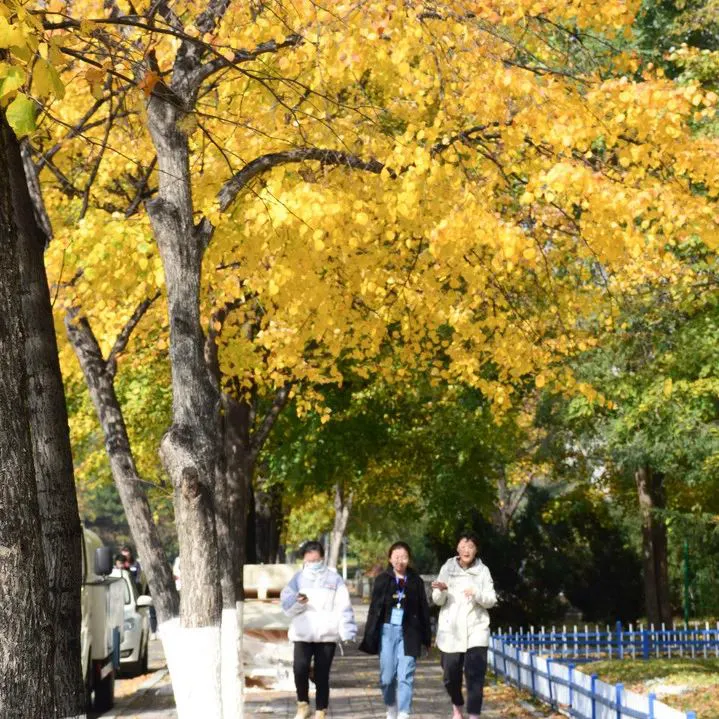 如何利用智能篮板实现个性化篮球训练_2